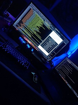 Developer